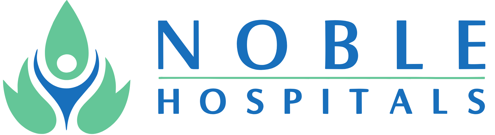 NOBLE HOSPITAL HADAPSAR