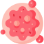 cancer cell