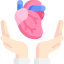 healthcare