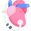 heart 1