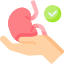 kidney donor 2