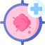 oncology 1