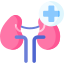 urology 1